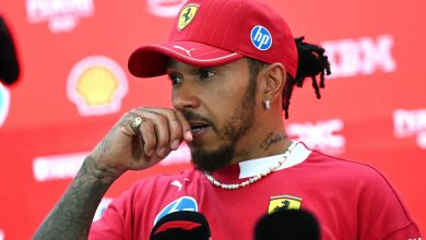 lewis-hamilton-moved-by-"overwhelming"-support-after-roscoe's-passing:-"really-heartwarming"