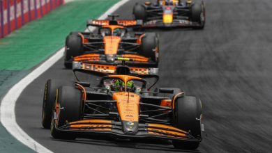 mclaren-urged-to-back-oscar-piastri-for-drivers'-title-in-stark-warning-from-guenther-steiner